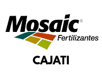 Mosaic Cajati